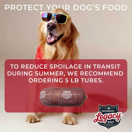 Raw Dog Food Delivery in the Summer: Here’s What You Need to Know