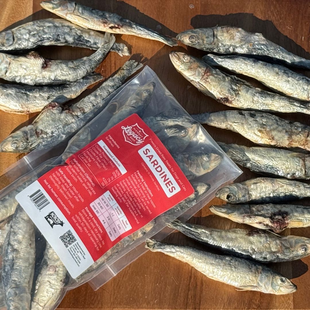 Packaged freeze dried sardines with a red label on a wooden surface with loose sardines.