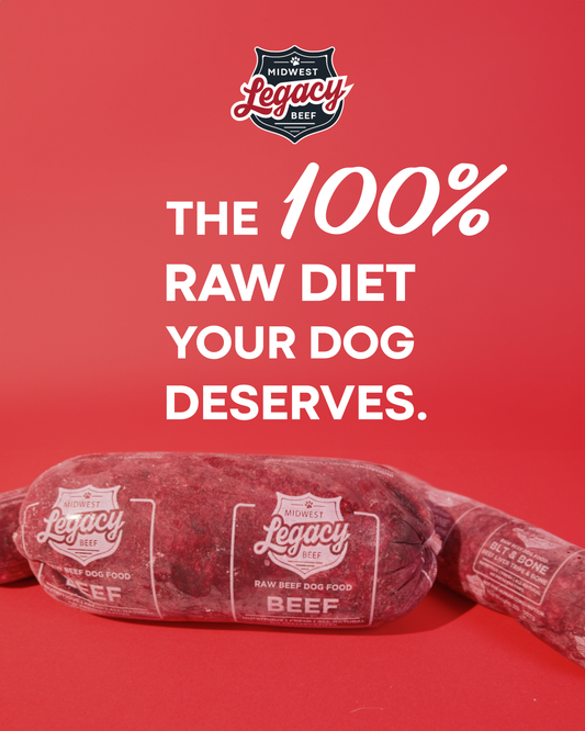 Raw dog food diet