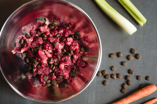 5 Reasons Why a Raw Beef Based Diet is Best for Your Dog.