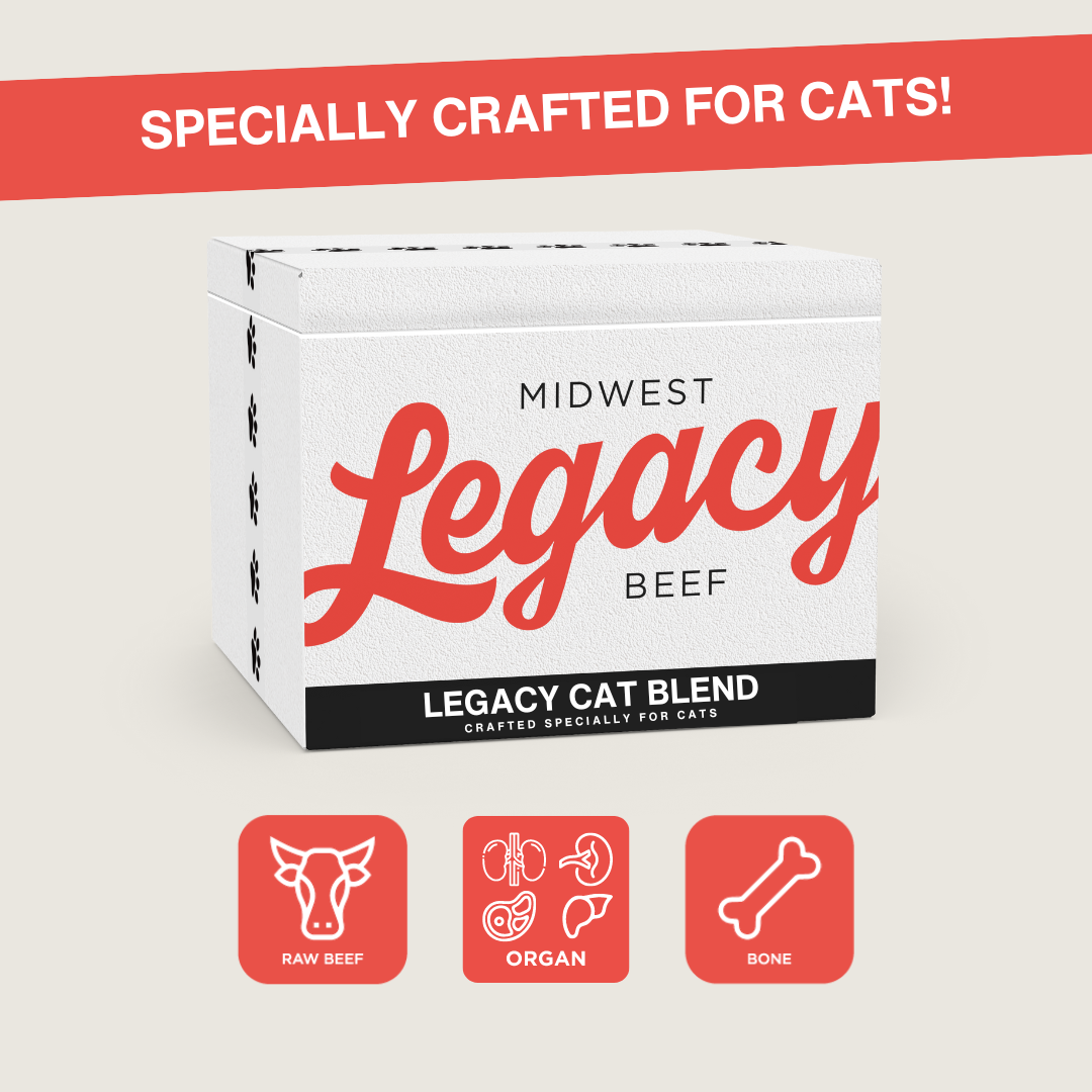 Legacy Cat Blend