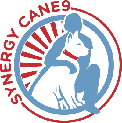 Synergy Cane9