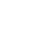Kidney