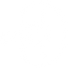 Spleen