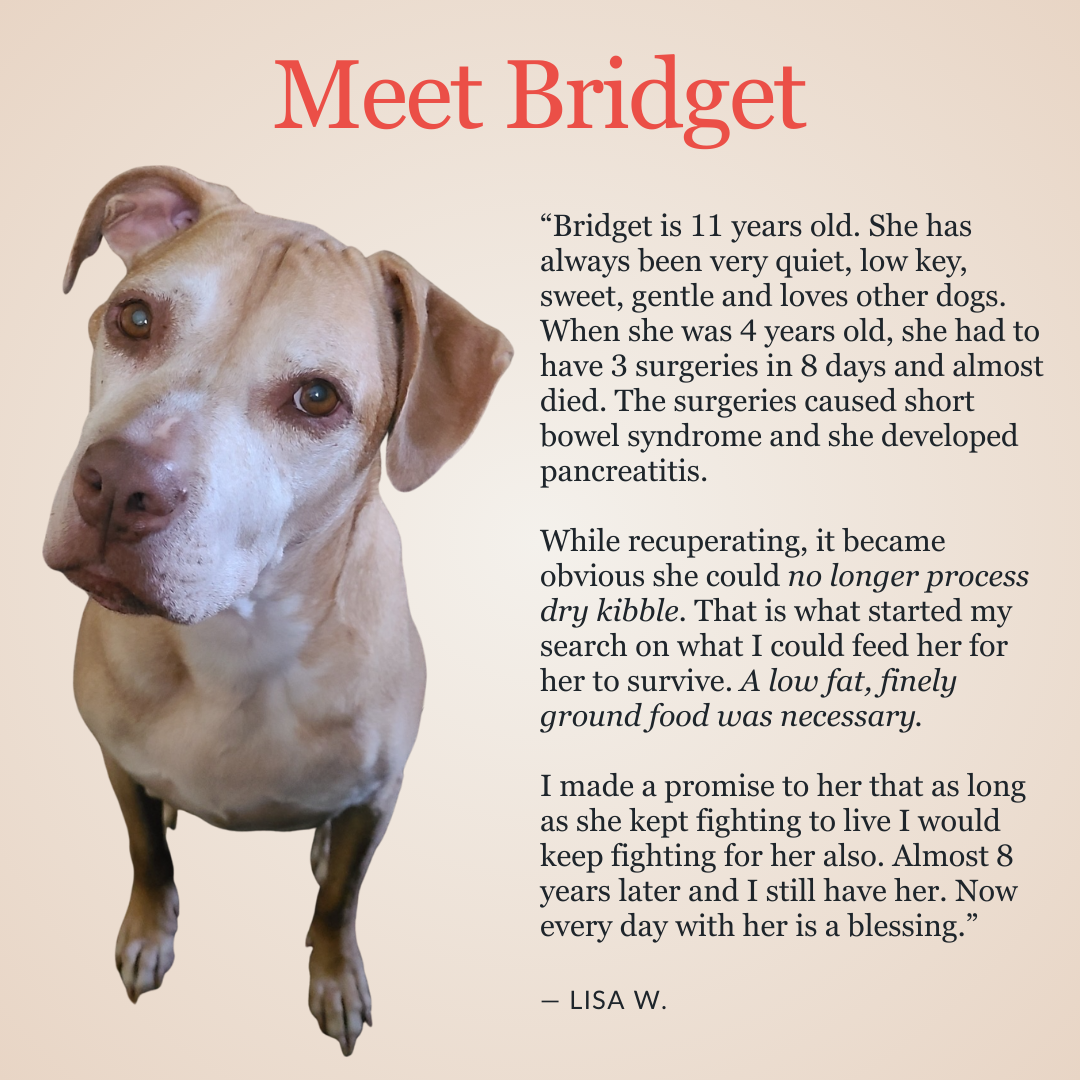 Legacy Low Fat - Bridget's Blend