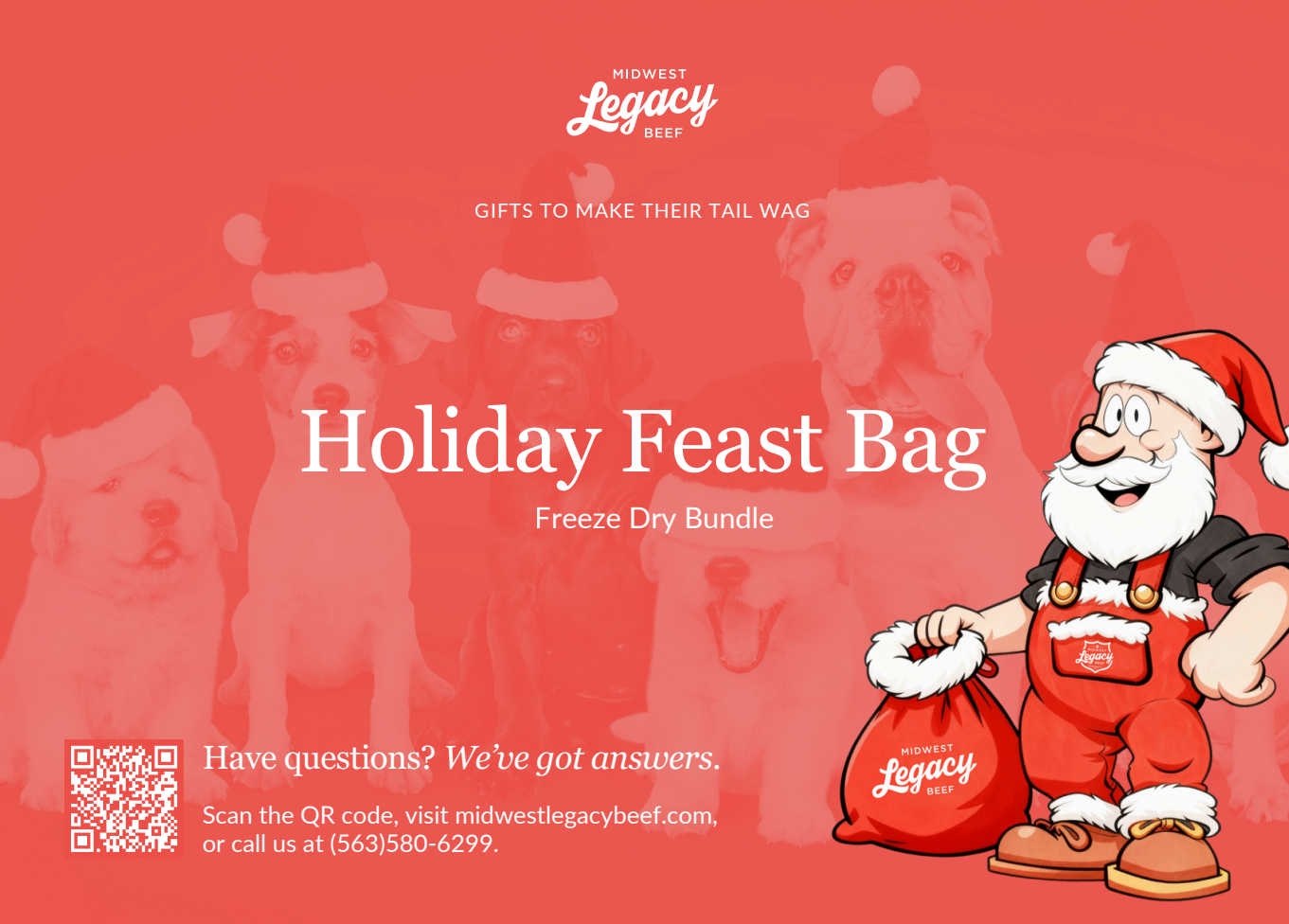 Freeze Dry - Holiday Feast Bag