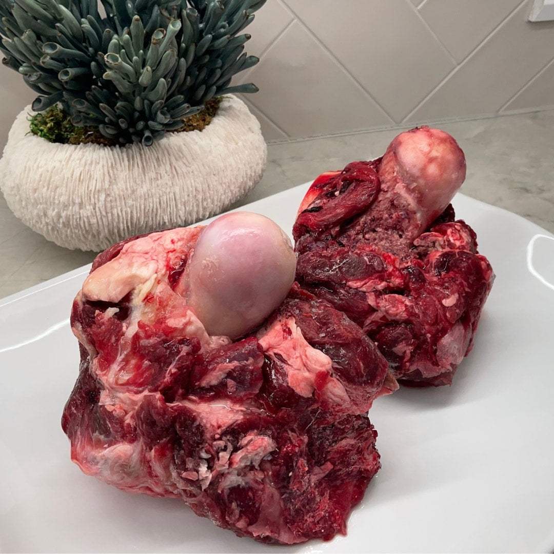 Are beef knuckle hotsell bones good for dogs