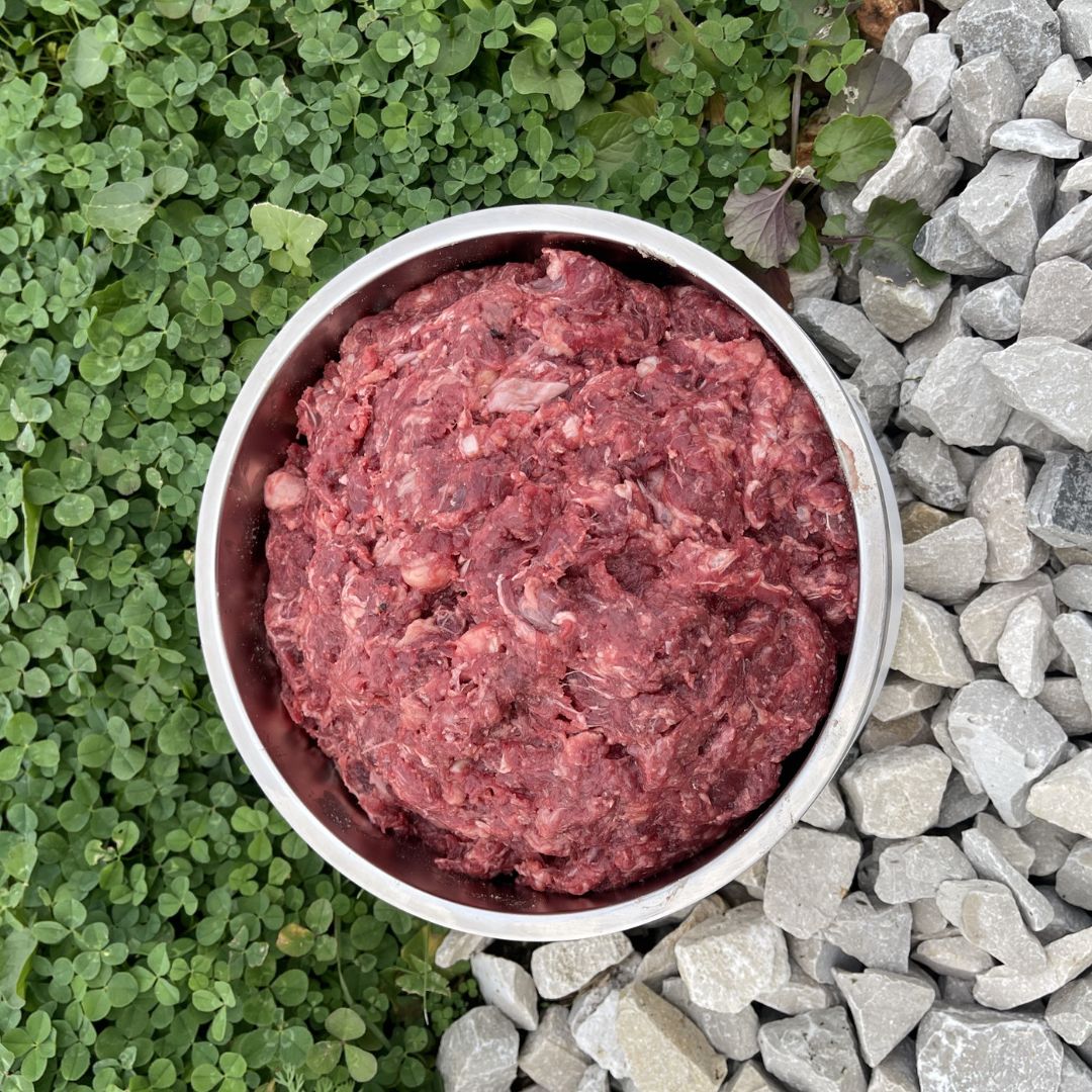 red raw meat dog food on green clovers and gray rocks outside in large dog food bowl