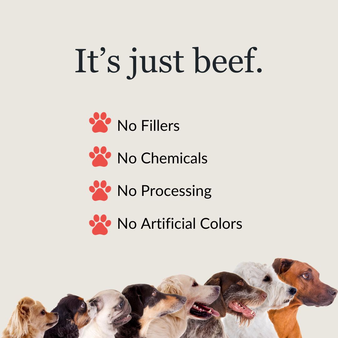 no filler chemical processing or artificial colors graphic with dogs of many sized and breeds for midwest legacy beef dog food