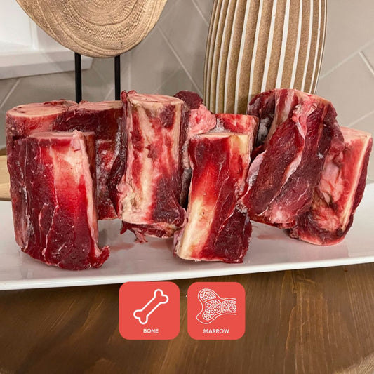 red raw cut up cow femur dog treat on white plate with bone and marrow orange icon